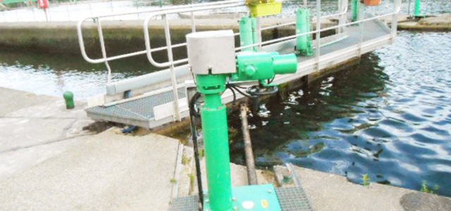 Rivière YONNE (89) – Vantail